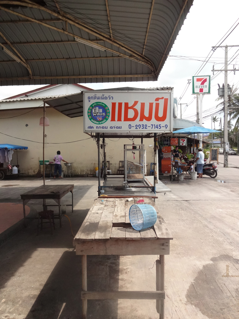Mon voyage à Thong Sala en Thaïlande