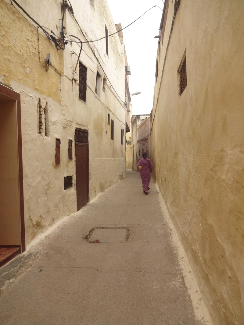 Mon voyage à Meknes au Maroc