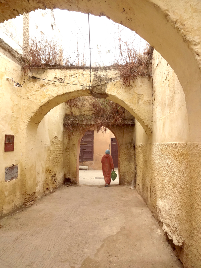 Mon voyage à Meknes au Maroc