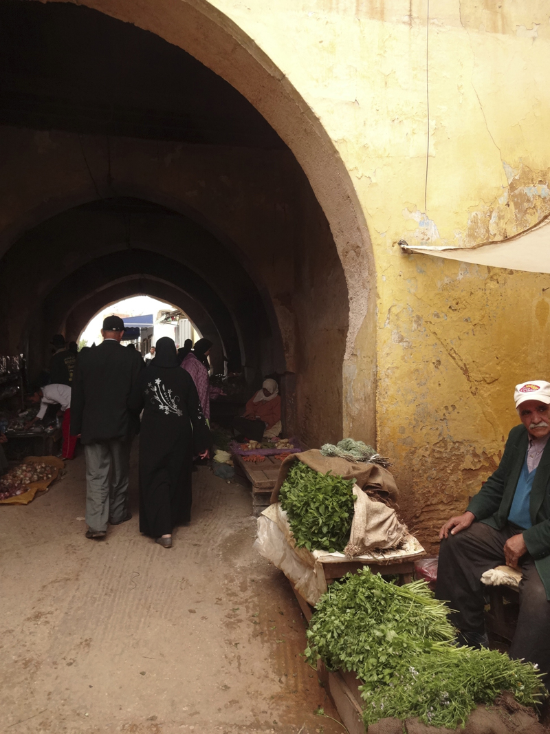 Mon voyage à Meknes au Maroc