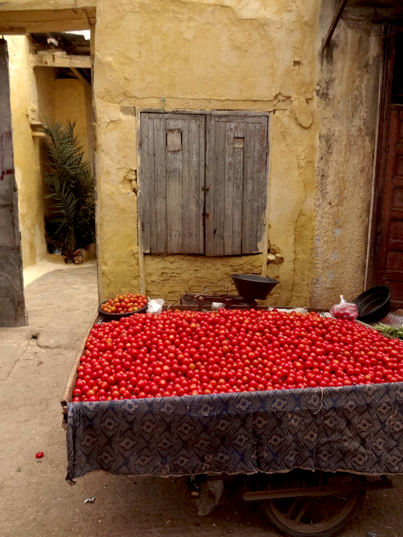 Mon voyage à Meknes au Maroc