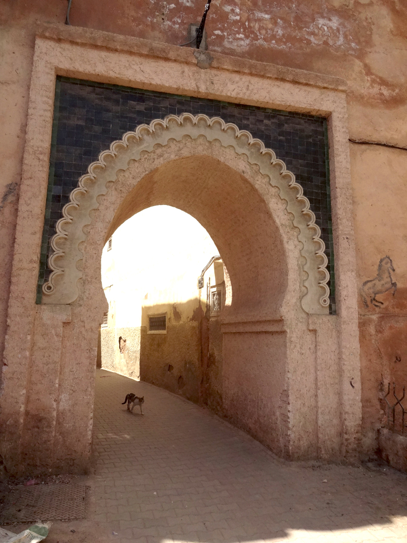 Mon voyage à Meknes au Maroc