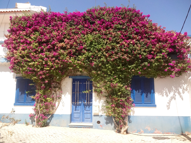 Mon voyage à Burgau au Portugal