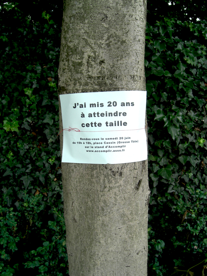 Arbres arrachés au Jardin des Halles à Paris