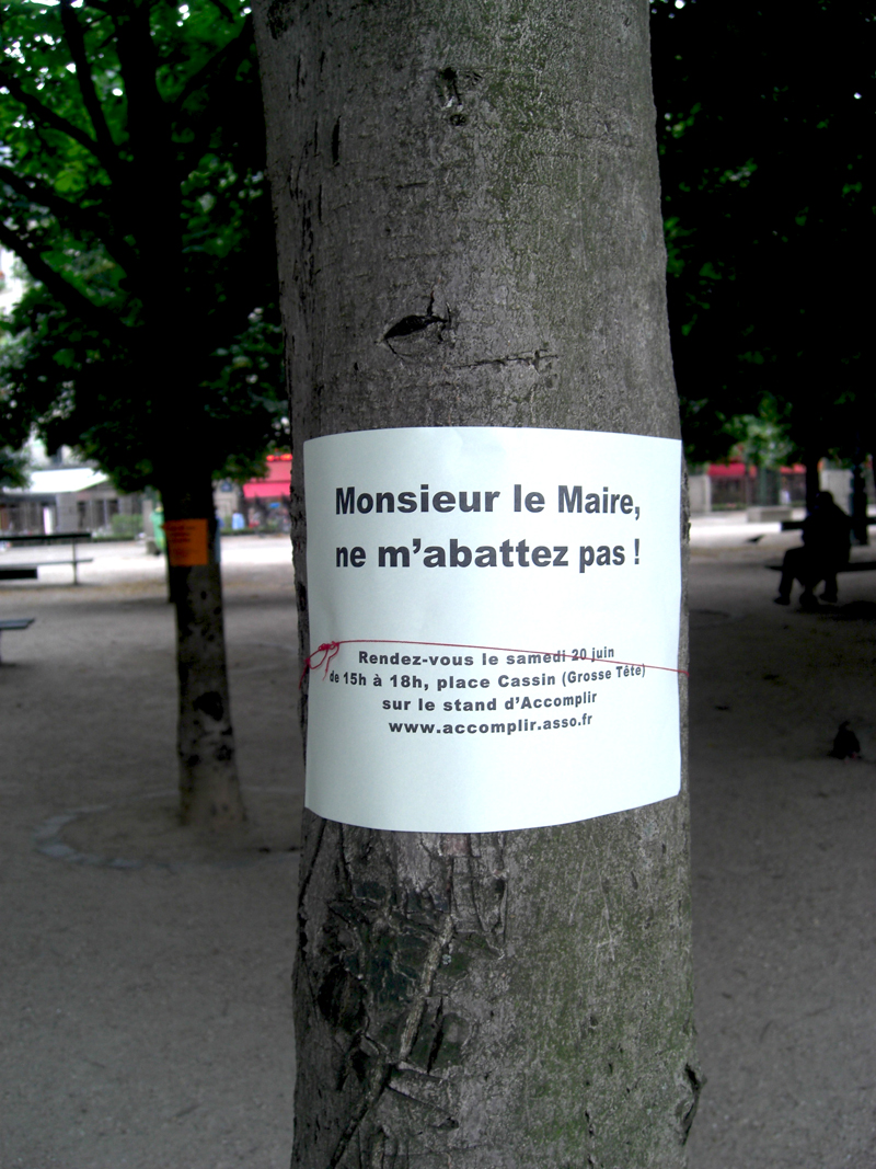 Arbres arrachés au Jardin des Halles à Paris