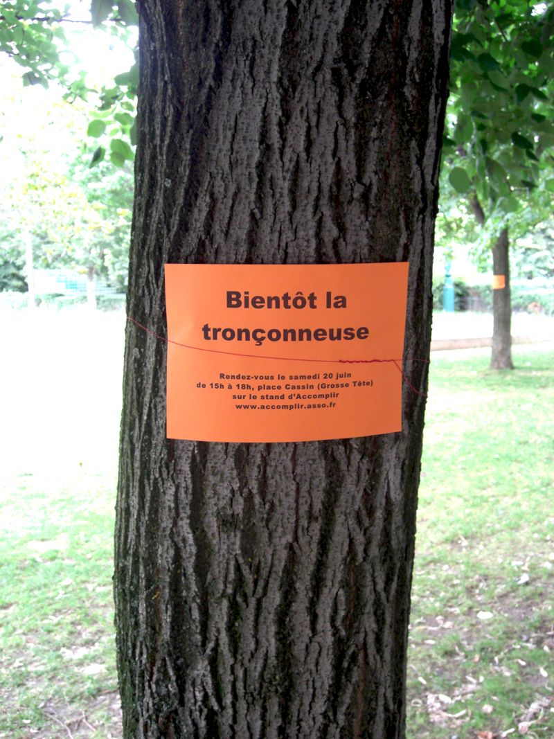 Arbres arrachés au Jardin des Halles à Paris