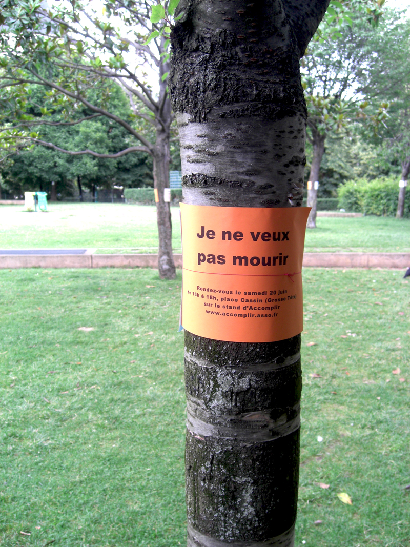 Arbres arrachés au Jardin des Halles à Paris