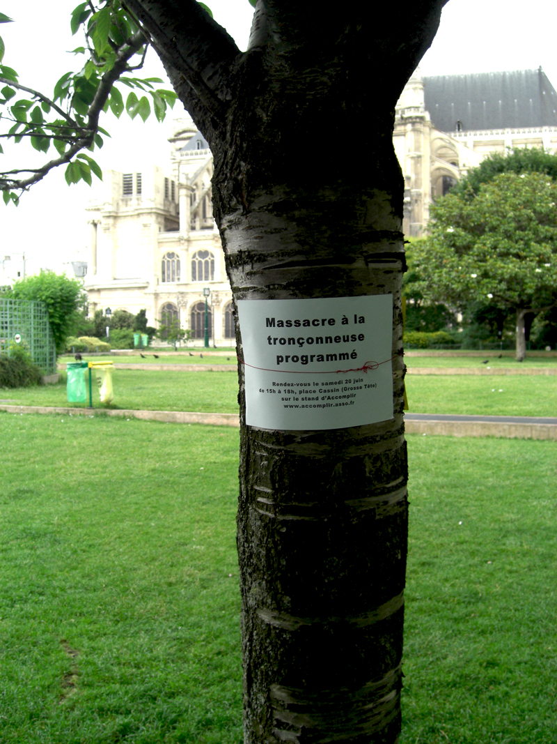 Arbres arrachés au Jardin des Halles à Paris