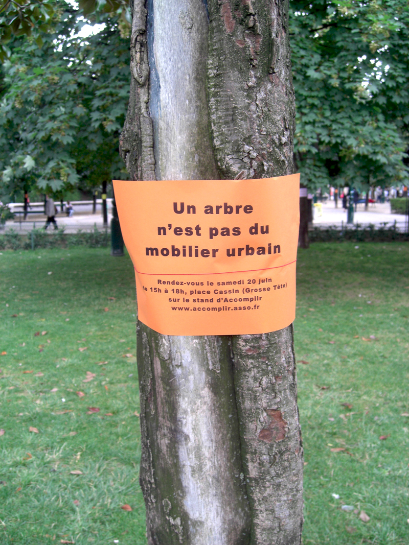 Arbres arrachés au Jardin des Halles à Paris