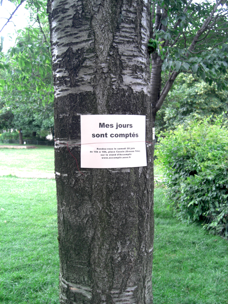 Arbres arrachés au Jardin des Halles à Paris