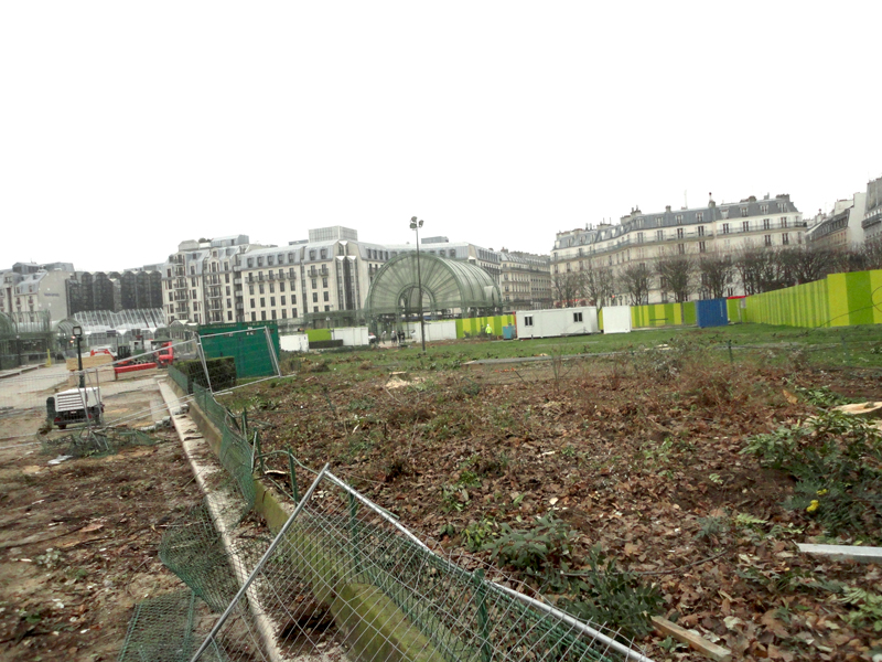 Abattage des arbres du Forum des Halles