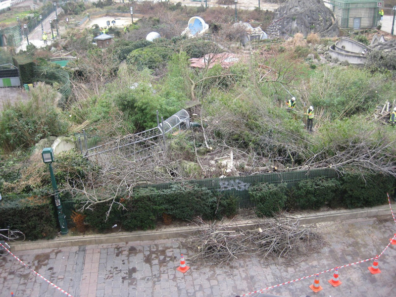 Abattage des arbres du Forum des Halles