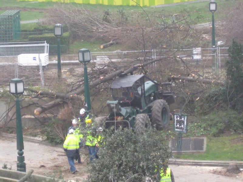 Abattage des arbres du Forum des Halles