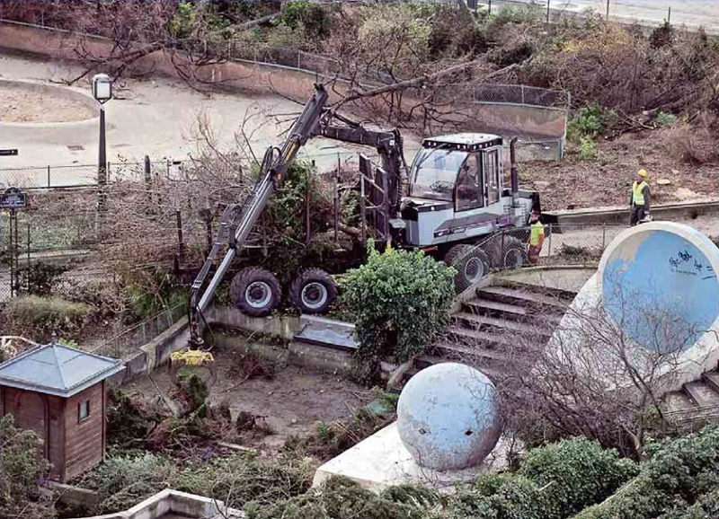 Abattage des arbres du Forum des Halles