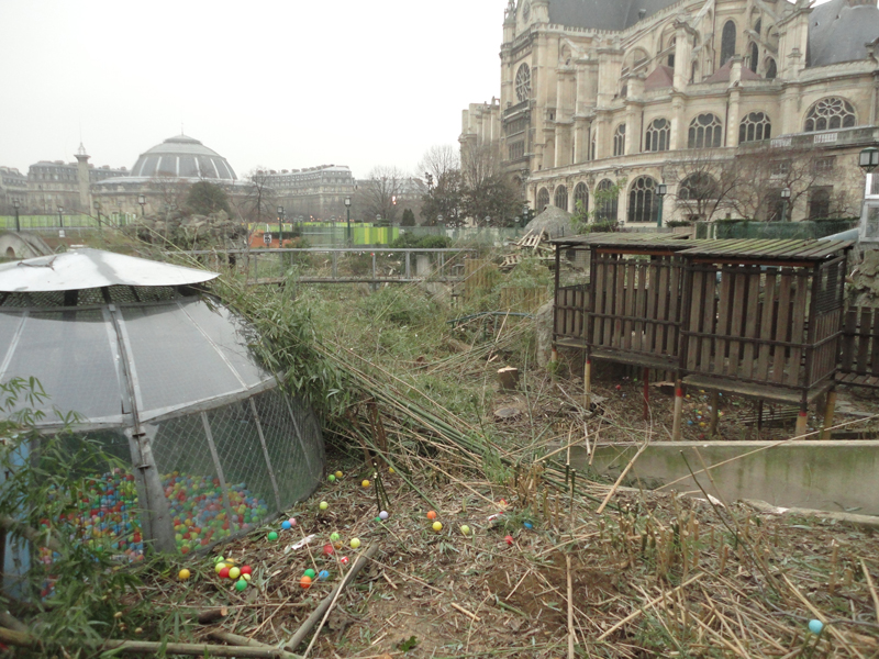 Abattage des arbres du Forum des Halles