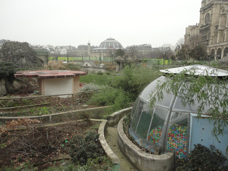 Abattage des arbres du Forum des Halles