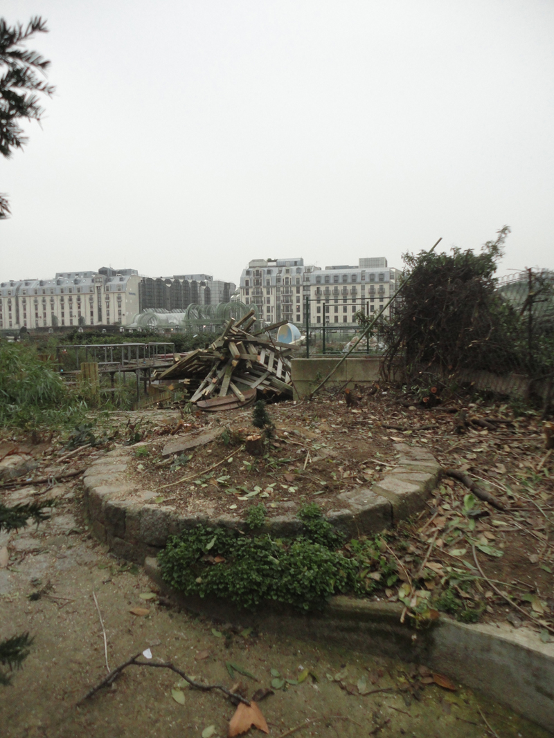 Abattage des arbres du Forum des Halles