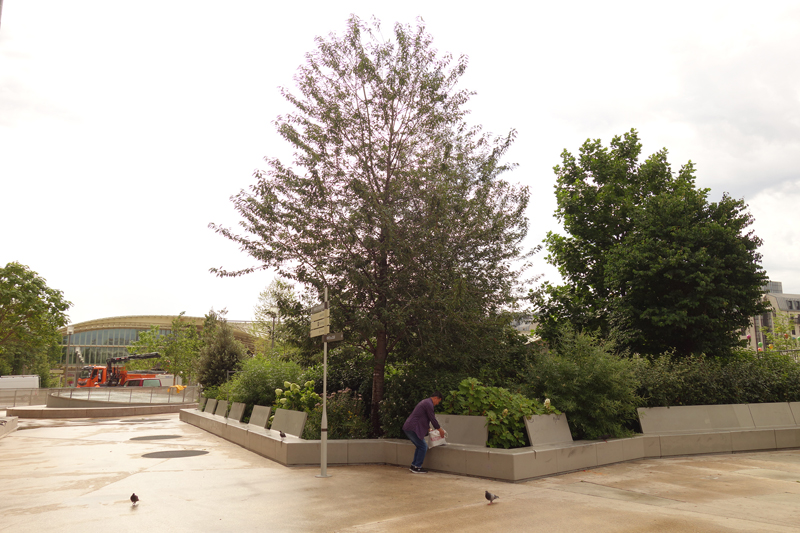 Travaux des jardins du Forum des Halles